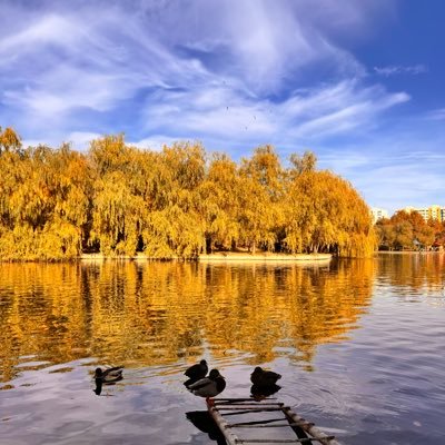 DorianIlie2's profile picture. 