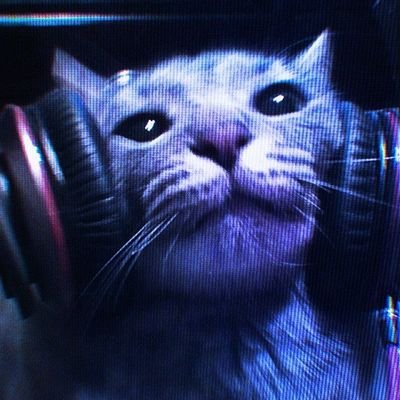 auburnred_'s profile picture. do you agree that it was in the stars?