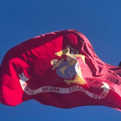 timothywcook's profile picture. 