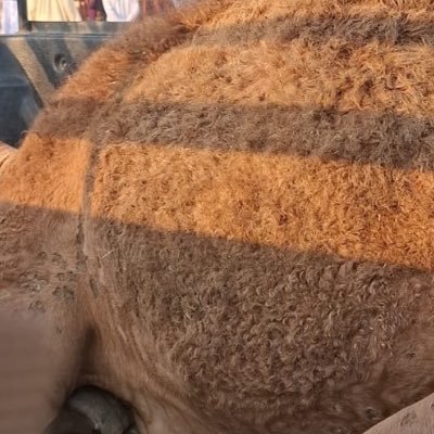 etchr34's profile picture. 