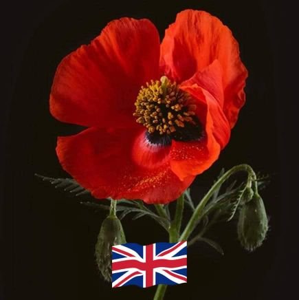 tonycarmelo15's profile picture. Defend Britain ✌️🇬🇧🇬🇧
Faithful to God and
Britannia✌️🇬🇧🇬🇧
 NON DESISTAS NON EXIERIS🫡

Patriotism isn't a hobby; it's a lifestyle.✌️🇬🇧🇬🇧