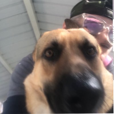 _bradforddavis's profile picture. #dad #brother #husband. BIG @jaguars fan. BIGGER fan of our #kids& #animals… BIGGEST fans of #Yeshua haNatzrati. Good over wicked #ALWAYS& #FOREVER💯