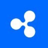 Ripple_office's profile picture. We are building the internet value