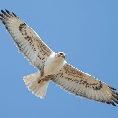 ivanbondar0988's profile picture. 