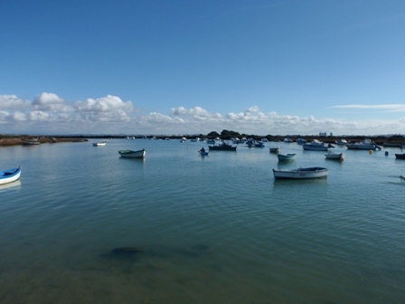 Disfrutando del parque natural Bahía de Cádiz a través del piragüismo