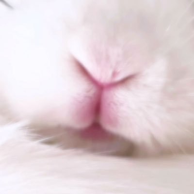 rawrcti's profile picture. i try 2 Follow bak Sory if i forget (_ _;) #shtwt #988twt #edtwt #shedtwt