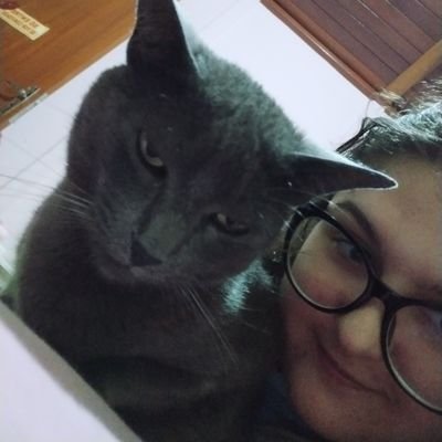 zapelinho's profile picture. gamer de paciência e campo minado