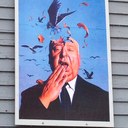 Susan Winner - @purpledesert - Twitter