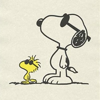 DanielaGon14340's profile picture. 