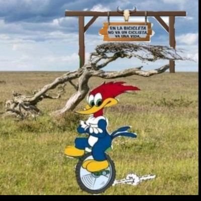 elocoxlabici's profile picture. Amante de la naturaleza, la libertad y la comida sana, me gusta la montaña y el bosque muy poco el mar.