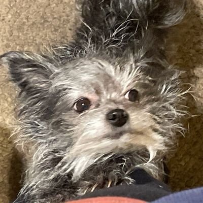 Jnb_710's profile picture. 