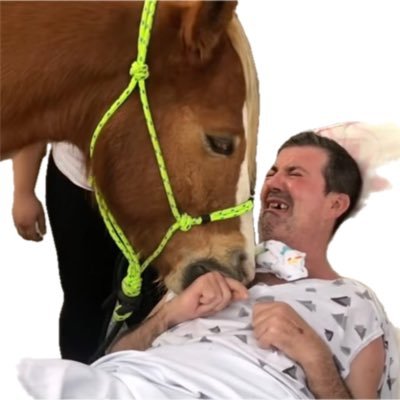 wwwwwerewolves's profile picture. 