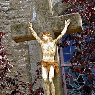 KonefalSarah's profile picture. !!I want to make it right!!