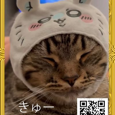 NKyuu_photok's profile picture. 🐈🐈👧🧔‍♂️👩👦 物価高だけどたくさん食べさせたい！
