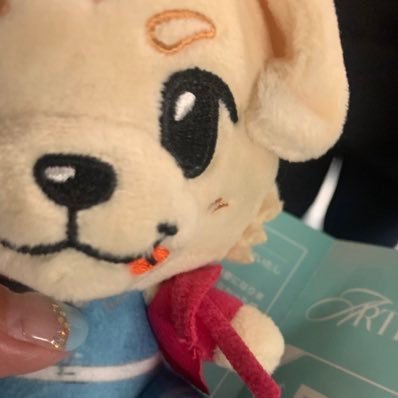 gunchan_snow's profile picture. 岩田さんがただただ大好き🩵大人です🩵