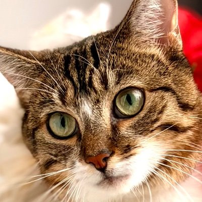 MyNameIsGoudou's profile picture. One world away from reality.
Sapienza. 🫶🏻