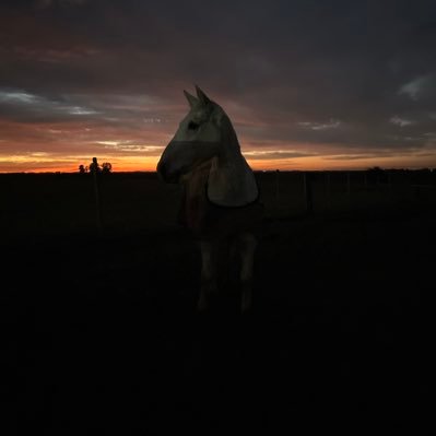 Maquita2206's profile picture. 