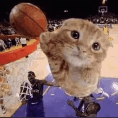 thixthendy's profile picture. 