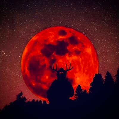 BallisticDaddyO's profile picture. Not a perfect Follower of Christ, Marksman, Pistolero, Welder, Craftsman, and Good Dude.