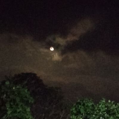 nitesh_pusham25's profile picture. 💫✍🏻