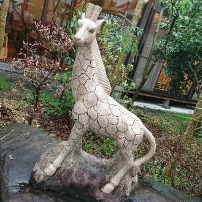 TkToiro95126's profile picture. 