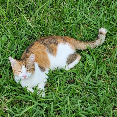 ResurrectdGypsy's profile picture. Energy healing, frequency loving, light bringing, out of the box thinking, Divine Feminine on the most incredible journey of a lifetime. LOVE is the answer!!