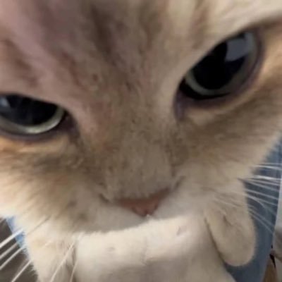 timmymind's profile picture. สนยูโร สนยูโรดิ่วะ ไอเลิปมายเคะเมรี่มัช