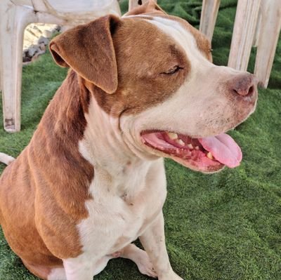 alexandreyoung8's profile picture. Ser aceito por Deus!!