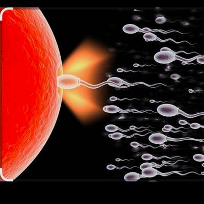 Gaysfun_'s profile picture. 🌈 DM FOR PAID PROMOTION 🪼🙈