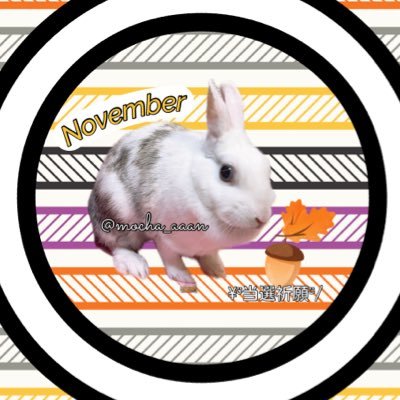 mocha_aaan's profile picture. ♡子ども達＆🐰のmama𖠿𖥧♡スキンケア✨コスメ💄｜ ︎スイーツ🍰音楽🎧ハワイアン🌴アジアン雑貨が好き💕 ⚠️フォロバ対象⇒懸賞好き、うさぎ飼いさん【どちらも女性のみ🙇‍♀️ 】 （当選ツイートがあり企業さんメインの方）