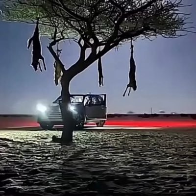 w_q1's profile picture. #يدار _بايديولوجيا_خاصة جداً .