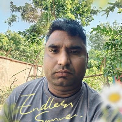 BRajora480's profile picture. 