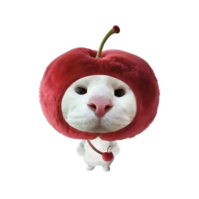 ricebeauti's profile picture. keep 6 🐺🦈