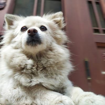 TimothyC9527's profile picture. 