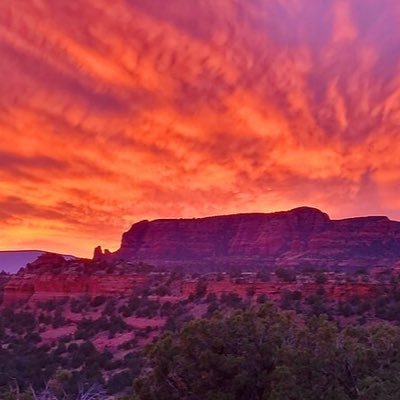 Boomski3g's profile picture. God/Family/Country-America 1st/maga veteran🅰️