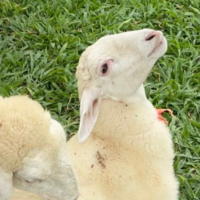 jrtnm's profile picture. 