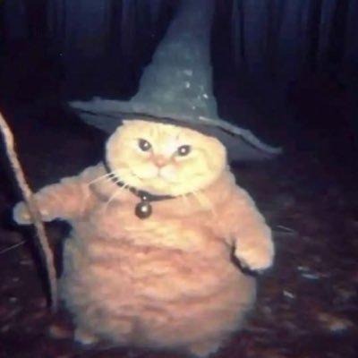 theonlyjplynn's profile picture. Venus wrote my attitude 💋