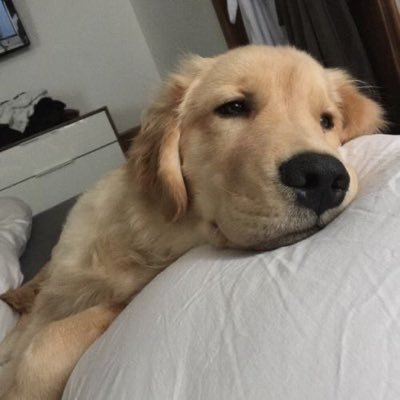 yyourmyheartttt's profile picture. #XXSIVK 🖤 TRINITY ₊˚ • เขมจิราต้องรอด #KengNamping #TleFirstone สนับสนุนวงการทีพ้อพทุกวง