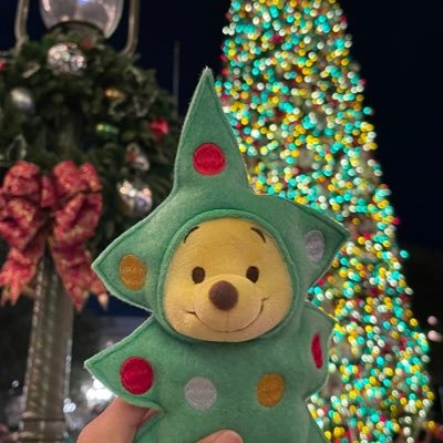 fizzymushrooms's profile picture. FUCK 4TH OF JULY