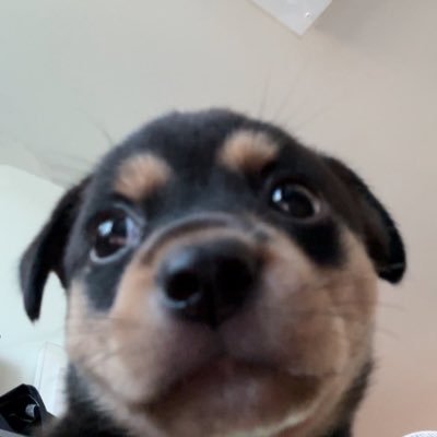 yy020202yy____'s profile picture. 걍쏴라씨밸아