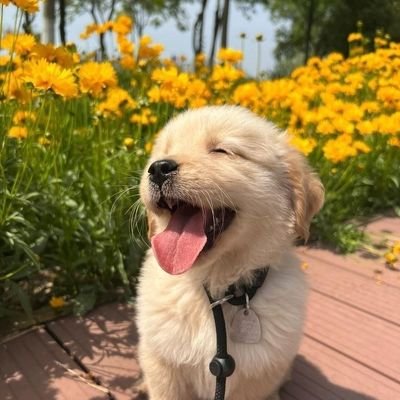 krapook18_'s profile picture. 