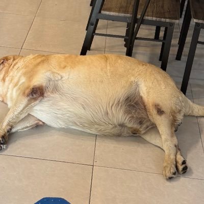 bakabum383's profile picture. แอคนี้เป็นผู้ชาย