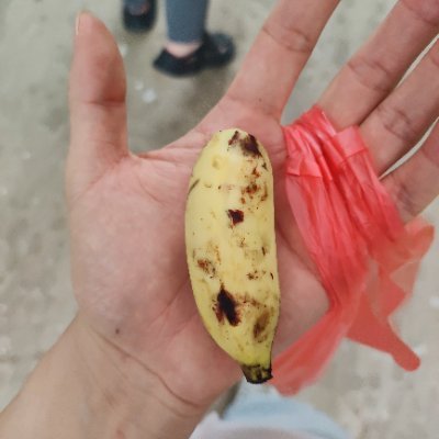 sjxxm2's profile picture. 上海浦东杨浦，0，生活化