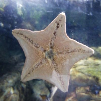 geosmia's profile picture. 