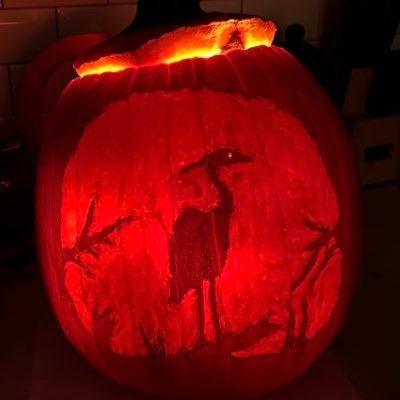 AnglerMD's profile picture. man, husband, father, fanatic angler, crazy birder, wrestling fan/coach, progressive, physician, advocating better EOL care and high quality healthcare for all