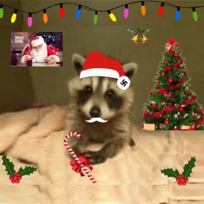 Mapanchitoo's profile picture. 