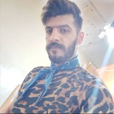 sardirmosavi's profile picture. 