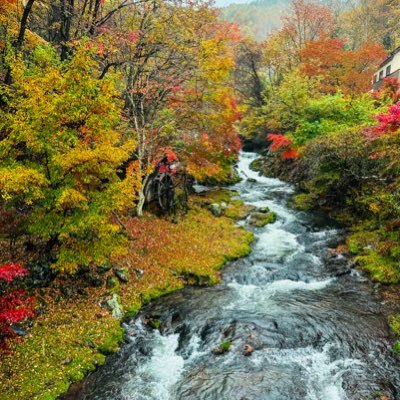 noriyuki510211's profile picture. ぽっちゃり裏垢男子です( ´•ᴗ•ก)喜んでもらえるようなリポストを心掛けています😊🎶