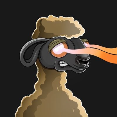 JDunjha25's profile picture. crypto believer #NFT #Solana