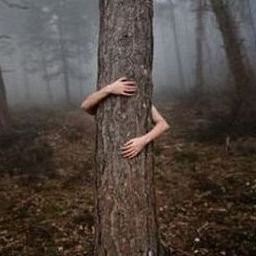 Roroofouh547's profile picture. 